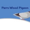 Parrs Wood Pigeon