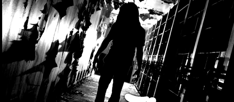 Parrs Wood Pigeon Newsletter (Spring 2026)